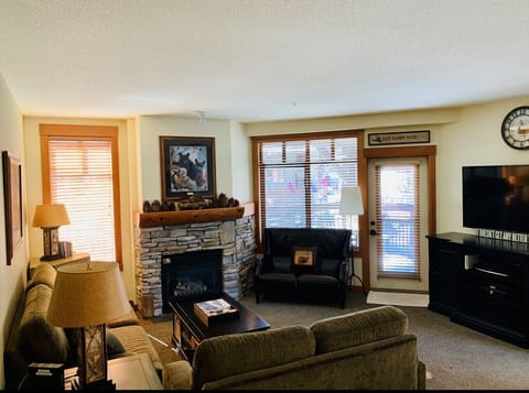 TV, fireplace, books