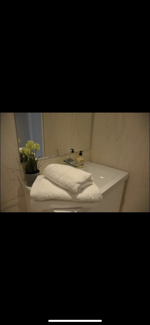 Bathtub, towels, toilet paper