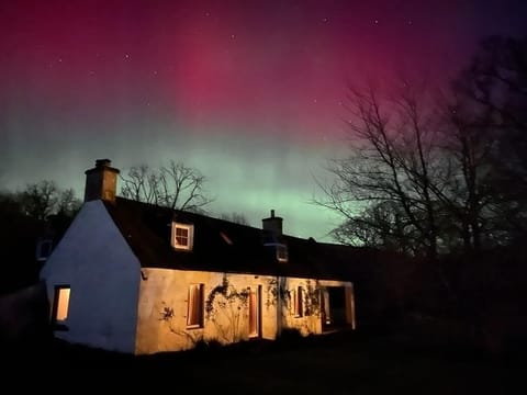 Northern Lights (aurora borealis) in February 2023 - photo by guest Eva Pijpers