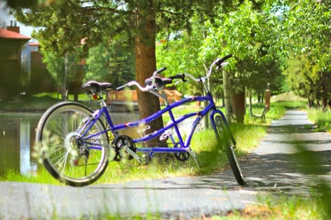Tandem bikes ready to go for rides around Lake Dillon!