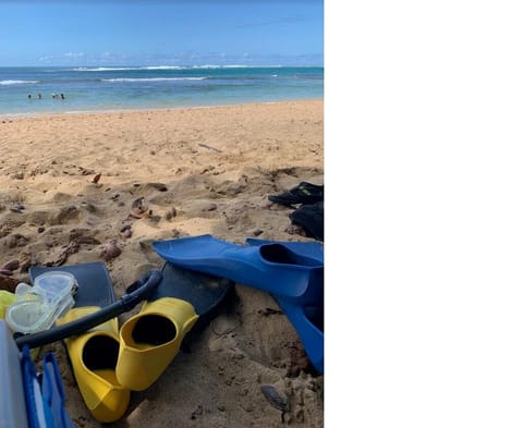 Beach nearby, sun loungers, beach towels