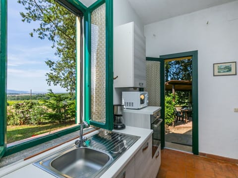 Plant, Tap, Kitchen Sink, Property, Sink, Plumbing Fixture, Green, Azure, Window, Interior Design