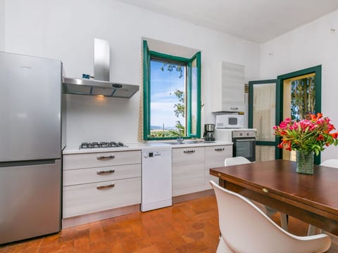 Cabinetry, Furniture, Property, Countertop, Plant, Flowerpot, Sink, Flower, Kitchen, Interior Design