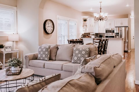 TV, fireplace, books