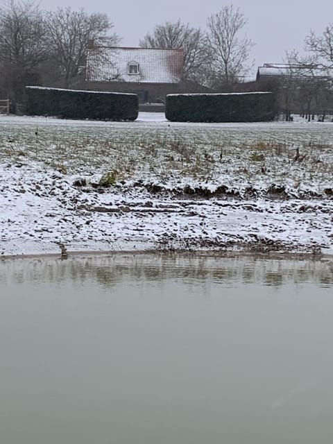 Winter vanuit de boomgaard
