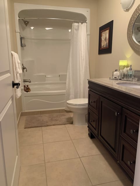 Combined shower/tub, hair dryer, towels, soap