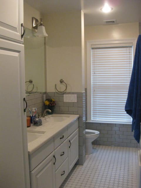 Combined shower/tub, jetted tub, hair dryer, towels