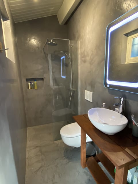 Combined shower/tub, jetted tub, hair dryer, towels