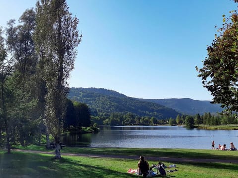 Water, Lake, Natural Landscape, Tree, River, Sky, Bank, Reservoir, Pond, Wilderness
