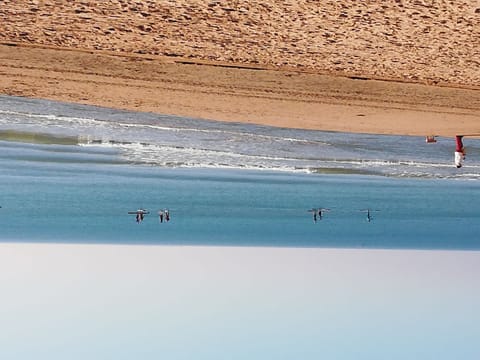 Beach nearby, sun loungers, beach towels