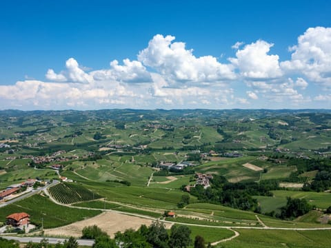 Cloud, Sky, Plant, Ecoregion, Azure, Natural Environment, Natural Landscape, Tree, Highland, Land Lot