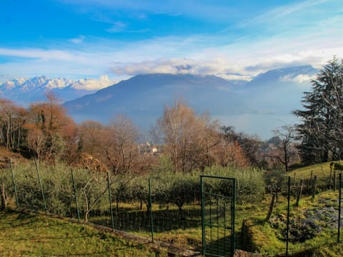 Cloud, Plant, Sky, Mountain, Natural Landscape, Tree, Highland, Land Lot, Sunlight, Grass