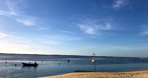 Beach nearby, sun loungers