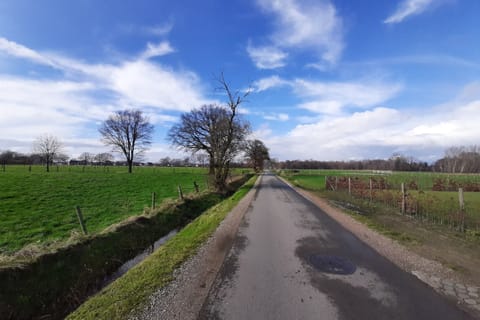 Immediate Surroundings [summer] (<1 km)