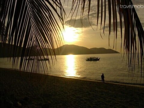 On the beach, sun loungers