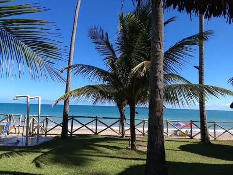 Sun loungers, beach towels