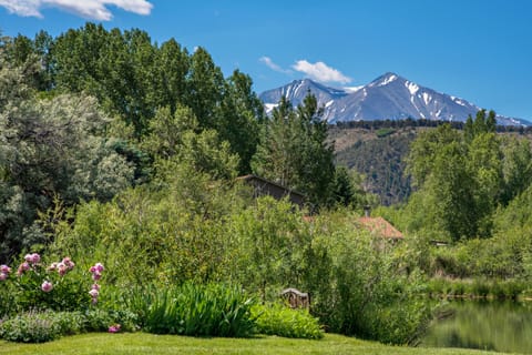 View of mountains from backyard