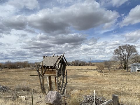 View from the driveway in the winter