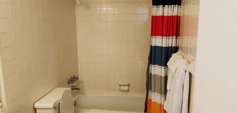 Combined shower/tub, hair dryer, towels, soap