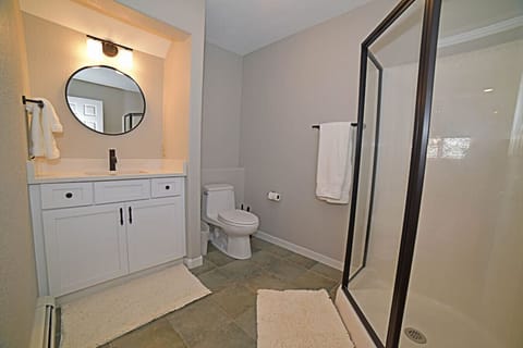 Lower level bathroom with walk-in shower.