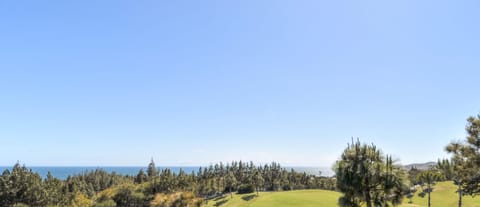 Las Palmeras 473 - 29