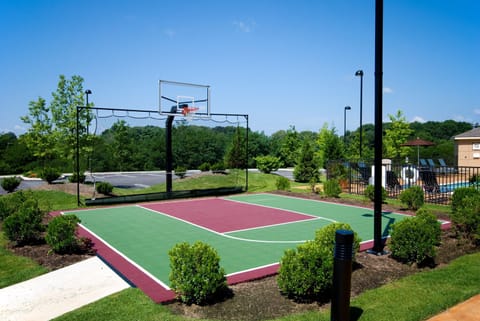 Sport court