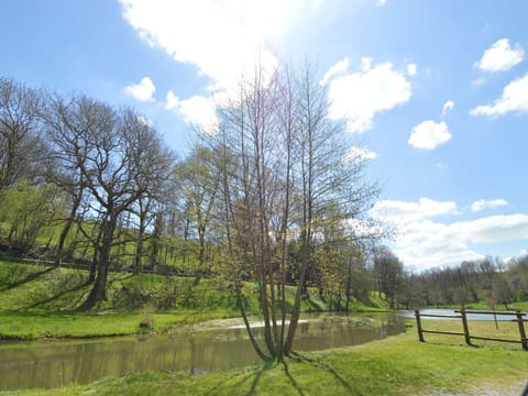 Immediate Surroundings [summer] (<1 km)