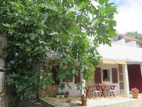 Cloud, Water, Sky, Property, Plant, Swimming Pool, Building, Window, Azure, Blue