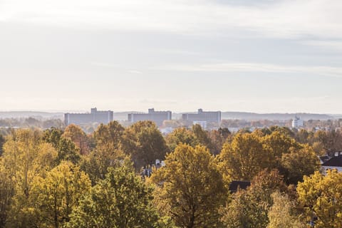 View from Holiday Home [summer]
