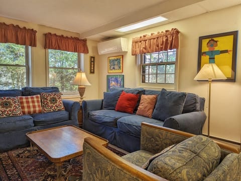 Lower Level Den Area