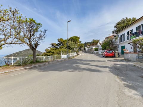 Cloud, Sky, Plant, Window, Street Light, Tree, Road Surface, Asphalt, Building, Land Lot