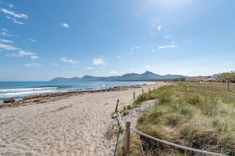 On the beach, sun loungers