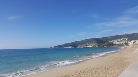 On the beach