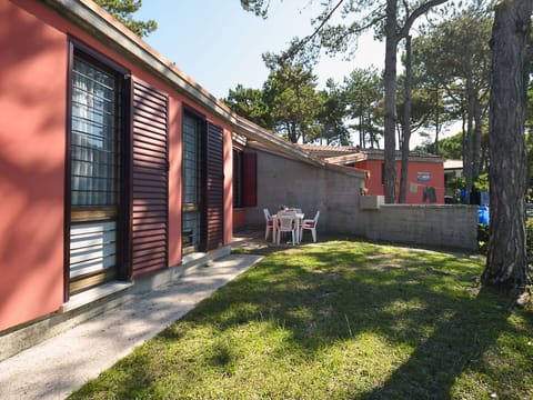 Plant, Building, Sky, Tree, Shade, Land Lot, Road Surface, Neighbourhood, Grass, Residential Area