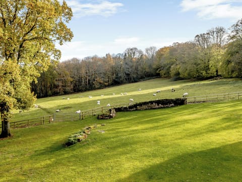 View | Priors Lodge Barns - Horseshoe - Priors Lodge Barns , Bream, near Lydney