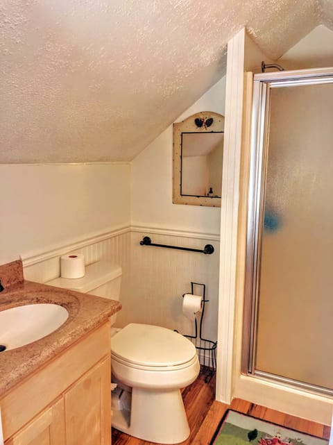 Combined shower/tub, hair dryer, towels