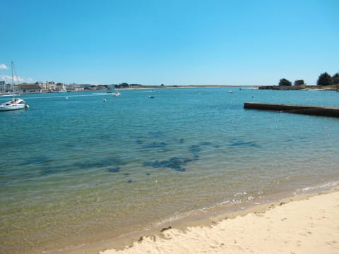 Table, Property, Cabinetry, Building, Dishware, Wood, Countertop, Interior Design, Tableware, Kitchen Appliance