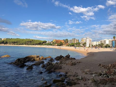 Sun loungers, beach towels