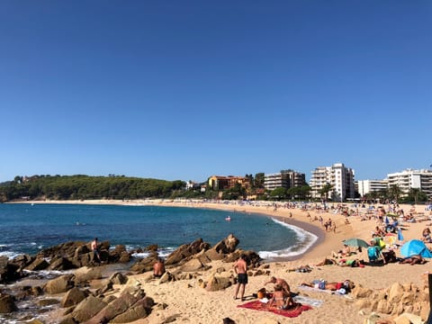 Sun loungers, beach towels