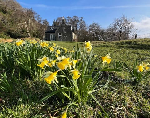 Large garden (ideal for dogs) at Lochead cottage
