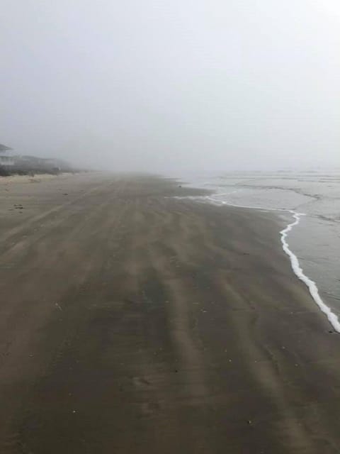 Even gloomy days are great at Surfside!