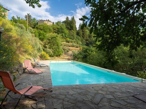 Water, Plant, Cloud, Property, Sky, Swimming Pool, Azure, Tree, Shade, Grass