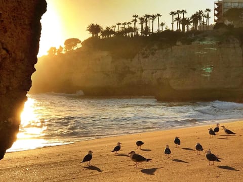 Beach nearby, beach towels