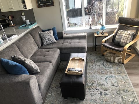 living room with pull out couch