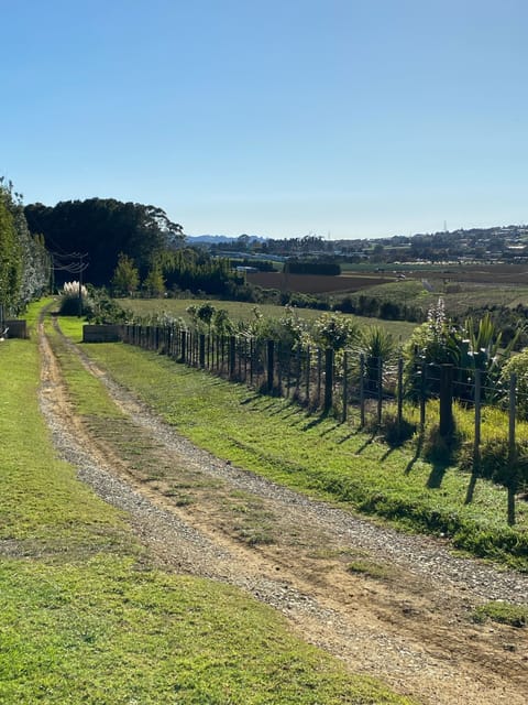 Driveway to the Cabin