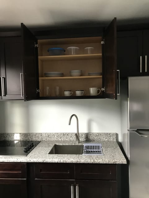 Fridge, microwave, stovetop, electric kettle