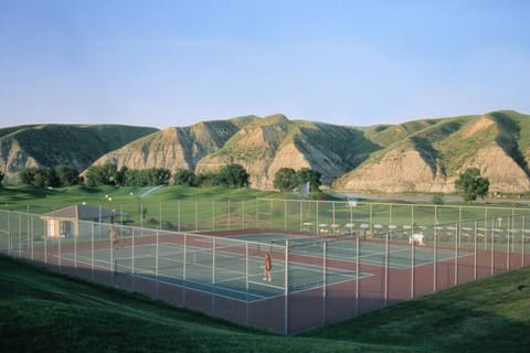 Sport court