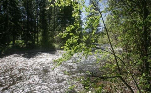 Gore Creek