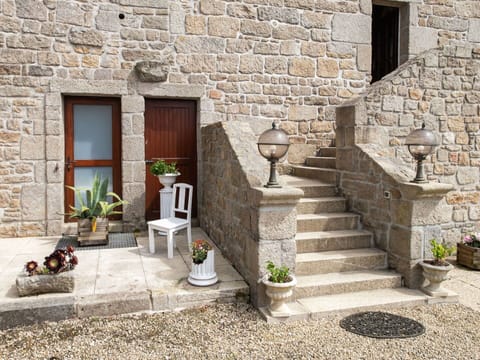 Plant, Property, Building, Flowerpot, Houseplant, Window, Interior Design, Flooring, Stairs, Brick