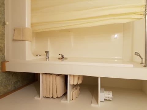 Combined shower/tub, hair dryer